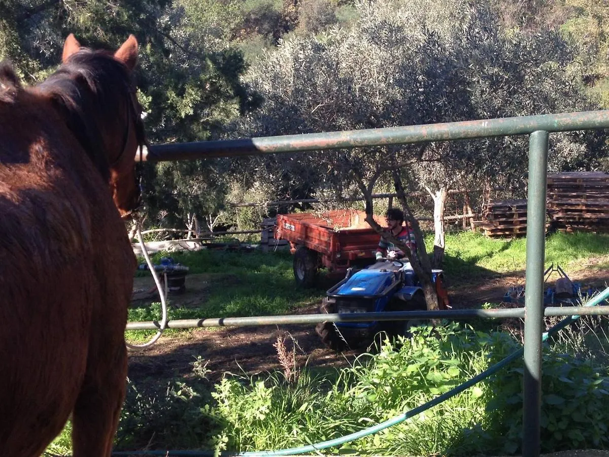 Pantalica Ranch Villa Sortino